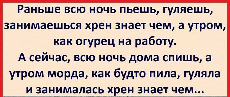 Раньше всю ночь пьешь гуляешь занимаешься хрен знает чем а утром как огурец на работу А сейчас всю ночь дома спишь а утром морда как будто пила гуляла _ _и занималасьхрензнает чеМ _