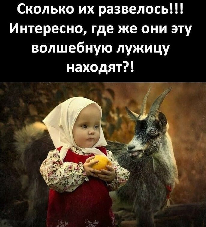 Сколько их развелось Интересно где же они эту волшебную лужицу находят