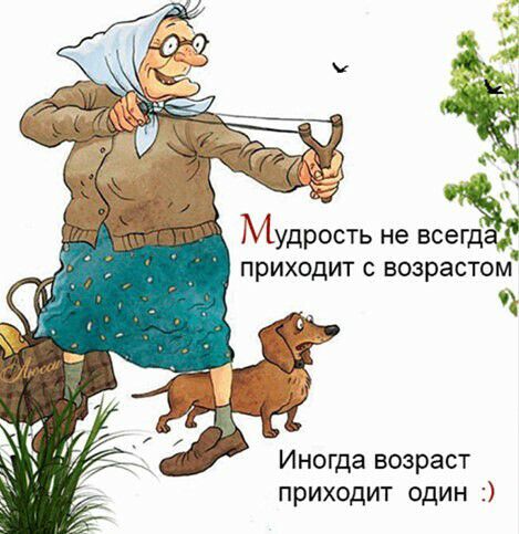 ТИудрость не всддё приходит с возрастом Иногда возраст приходит один