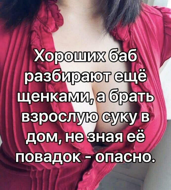 взрослую суку в дом не зная её ПОВЭДОК ОПЭСН0_