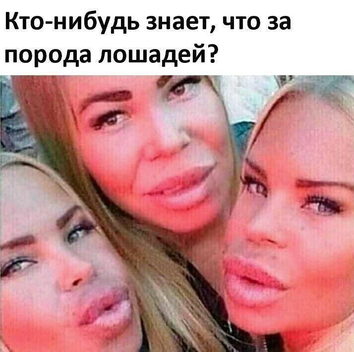 Кто нибудь знает что за порода лошадей