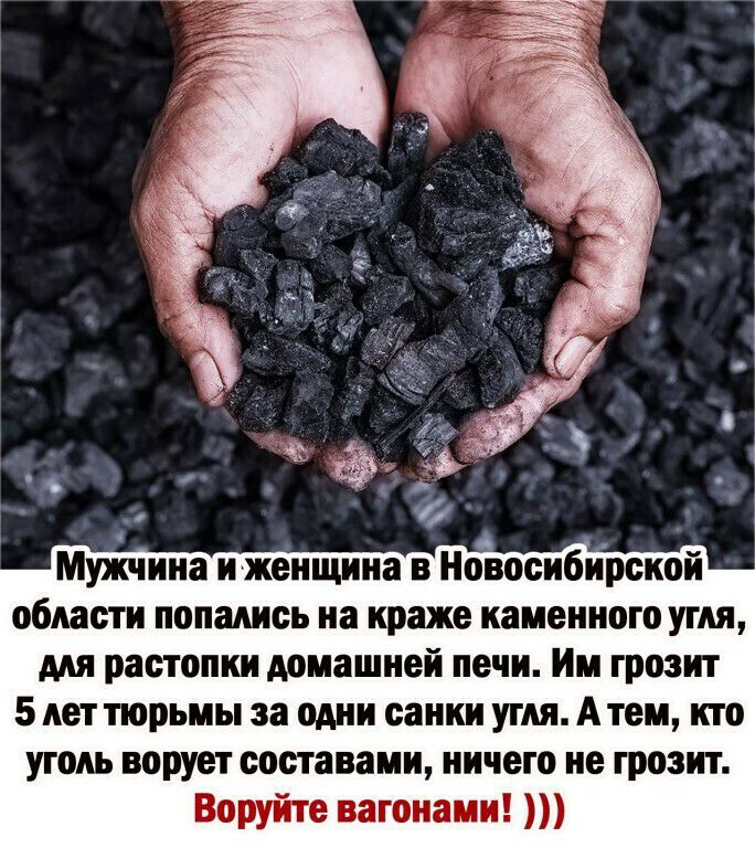Мужчина иженщина в Ноосибирской области попались на краже каменного угля мя растопки домашней печи Им грозит 5 лет тюрьмы за одни санки угля А тем кто уголь ворует составами ничего не грозит Воруйте вагонами