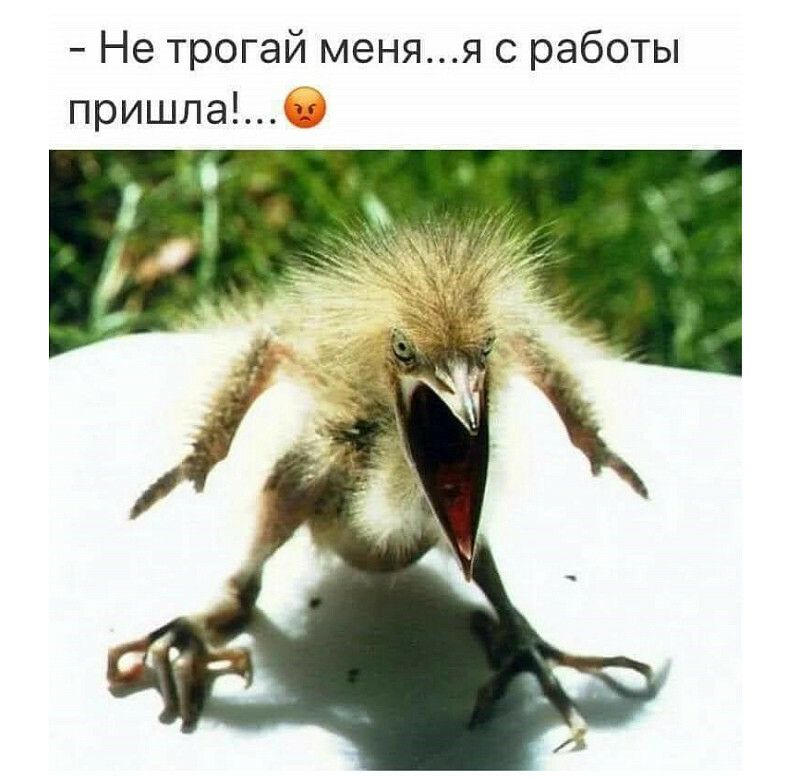 Не трогай меняя с работы пришла