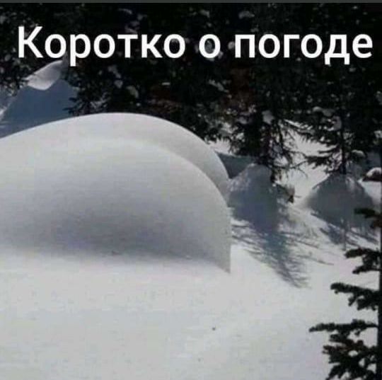 ротко огпогоде