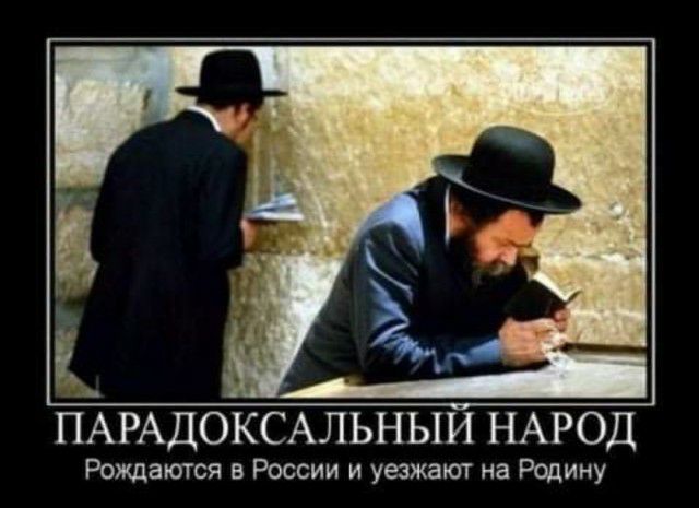 Ё ПАРАДОКСАЛЬНЫИ НАРОД Рождаются в России и уезжают на Родину