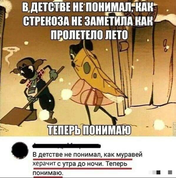 В дЕТВ ЧВЕ НЕ понимдпгнпнь БТРНЮЗА НЕ ЗАМЕГТИПА ШШ ПШШЕТНШ ЛЕТ В детстве не понимал как муравей херачитс утра до ночи Теперь понимаю