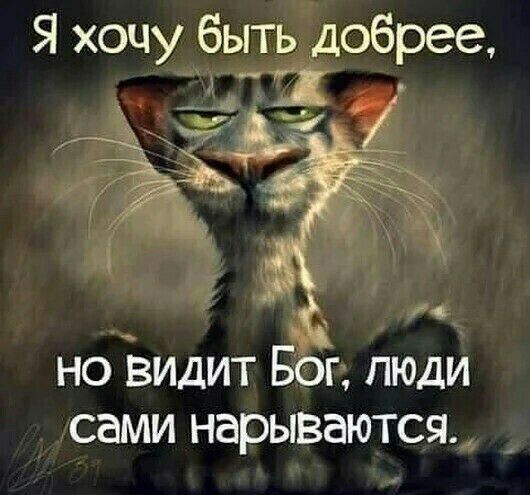 Я хочу быть добрее но видит Бодг люди сами нарываются