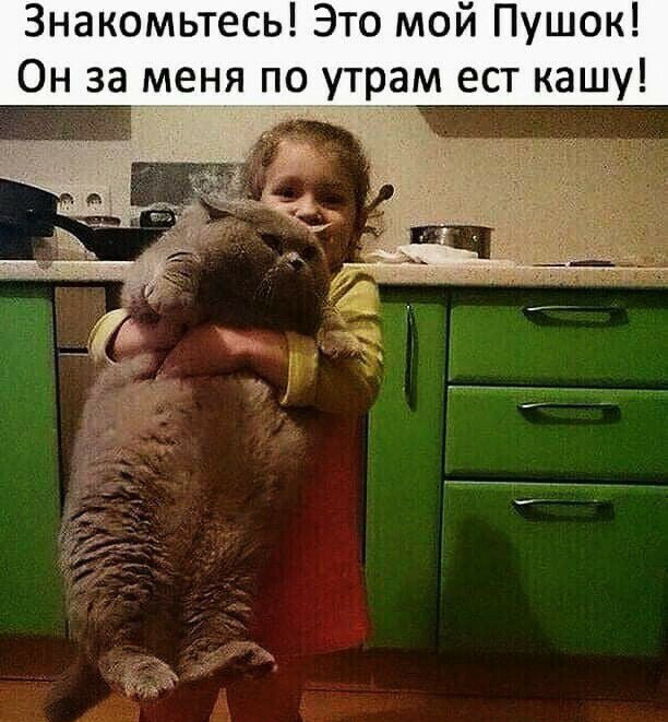 Знакомьтесь Это мой Пушок Он за меня по у_трам ест кашу