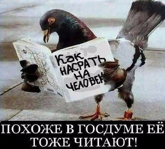 ПОХОЖЕ ГЪДУМЕЕЁ ТОЖЕ ЧИТАЮТ
