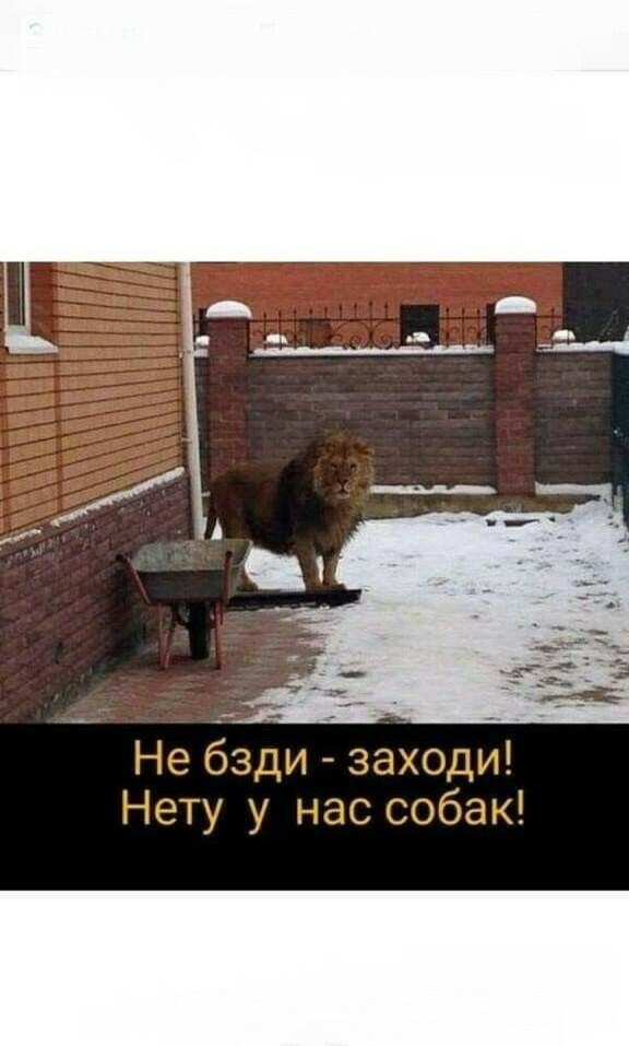 заходи Ю 8 б 0 С С _ а Н У У Т 6 Н Не бзди