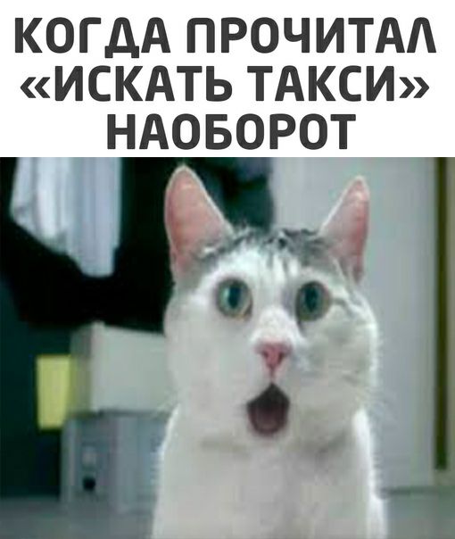 КОГДА ПРОЧИТАА ИСКАТЬ ТАКСИ НАОБОРОТ