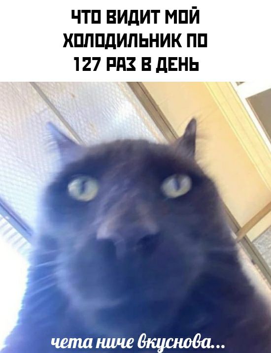 ЧТП ВИдИТ МПЙ ХПППдИЛЬНИК ПЦ 127 РП В дЕНЬ