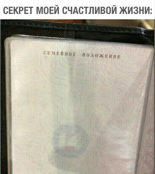 СЕКРЕТ МОЕЙ СЧАСТЛИВОЙ ЖИЗНИ им пт пижмы и
