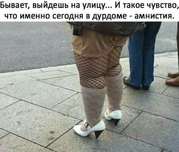 Бывает выйдешь на улицу И такое чувство что именно сегодня в дурдоме амнистия
