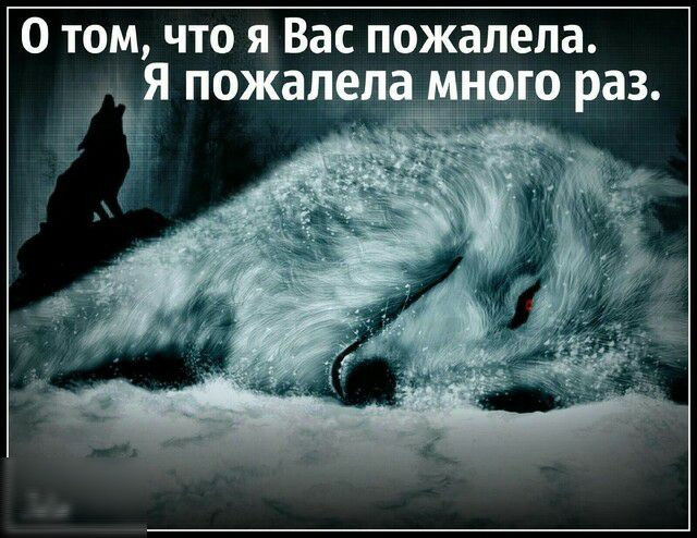 0 том что я Вас пожалела я пожалела много раз ЁЁ