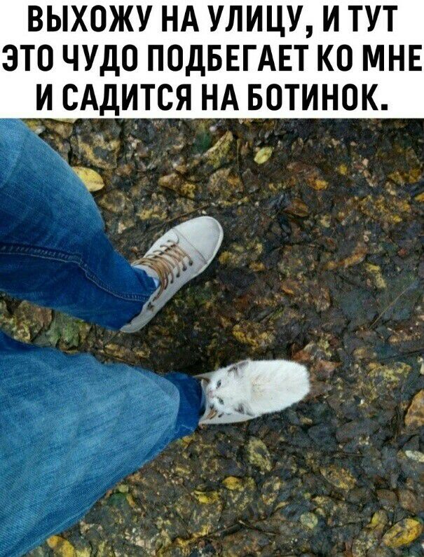 ВЫХОЖУ НА УЛИЦУ И ТУТ ЭТО ЧУДО ПОДБЕГАЕТ КО МНЕ И ОАДИТСЯ НА БОТИНОК