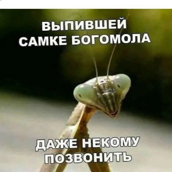 выпившвй САМКЕ БОГОМОПА