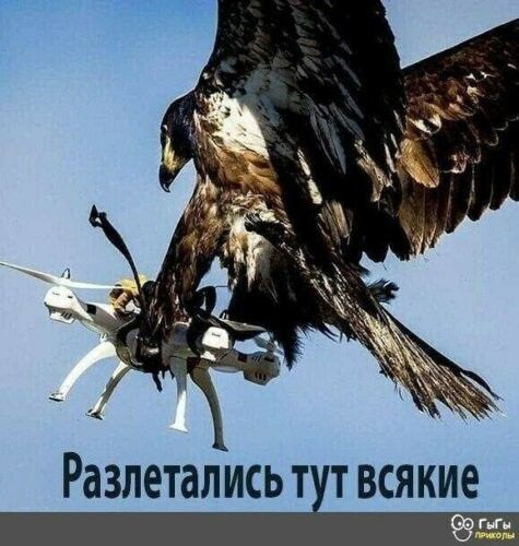 _ _ Разлетались тхт всякие