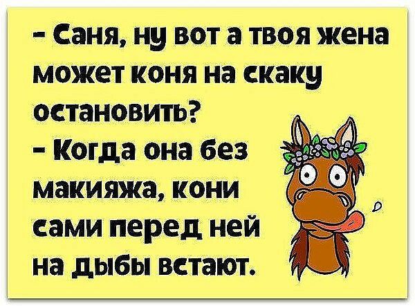 Саня ну вот а твоя жена может коня на скаку остановить Когда она без макияжа кони сами перед ней на дыбы встают