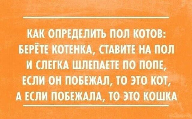 Ш ппц дмит лицпп ПЮЩ АЩПШ_