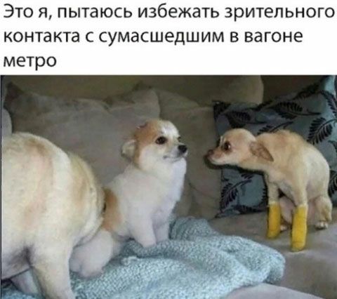 Это я пытаюсь избежать зрительного контакта сумасшедшим в вагоне метро