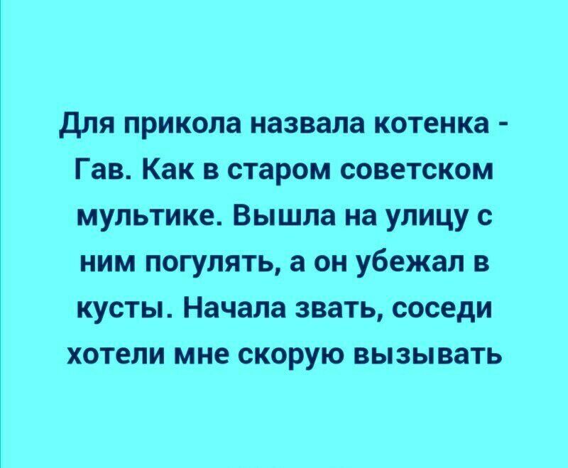 для прикола назвала котенка Гав Как в старом советском мультике Вышла на улицу с ним погулять а он убежал в кусты Начала звать соседи хотели мне скорую вызывать