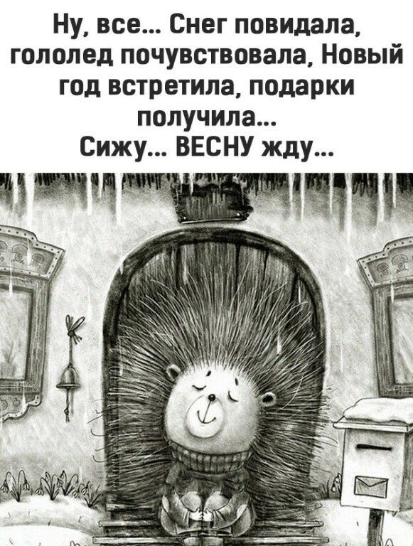 Ну все Снег повидала гололед почувствовала Новый год встретила подарки получила Сижу ВЕСНУ жду