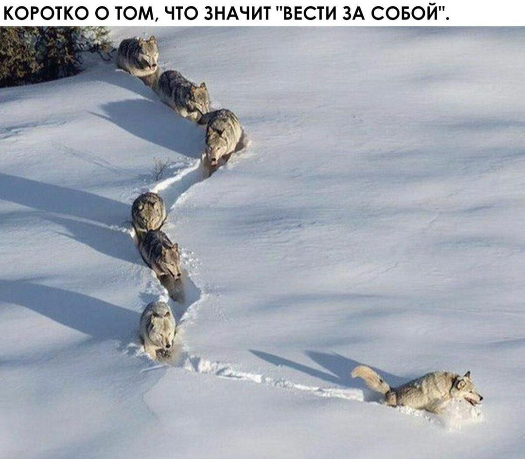 КОРОТК о о том что__нАчит ввсти ЗА совой _