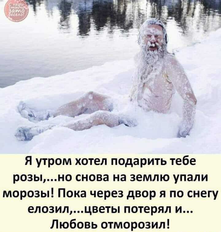 я утром хотел подарить тебе розыно снова на землю упали морозы Пока через двор я по снегу елозилцветы потерял и Любовь отморозил
