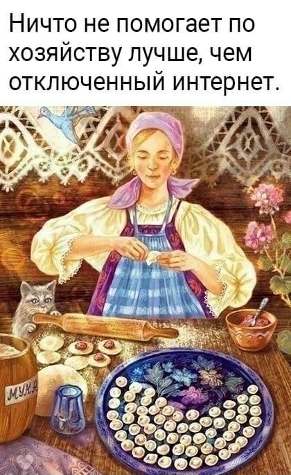 Ничто не помогает по хозяйству лучшечем