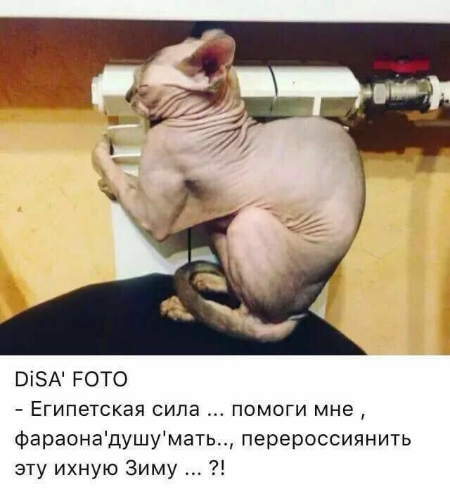 ВіЭА РОТО Египетская сила помоги мне фараонадушумать перероссиянить эту ихную Зиму