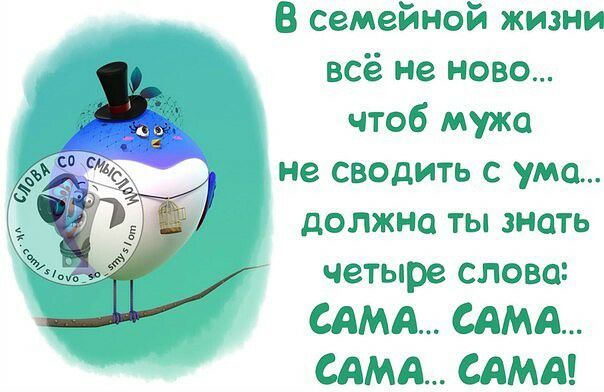 В семейной жизни всё не ново чтоб мужа не сводить с ума должно ты знать четыре слова САМА САМА САМА САМА
