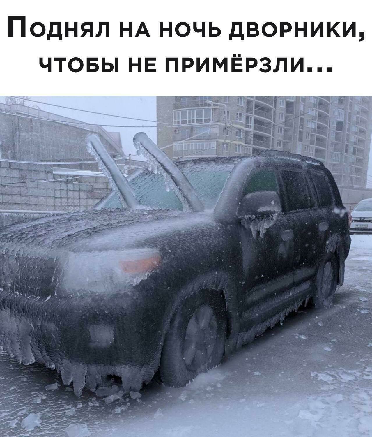 ПОДНЯЛ НА НОЧЬ ДВОРНИКИ ЧТОБЫ НЕ ПРИМЁРЗЛИ