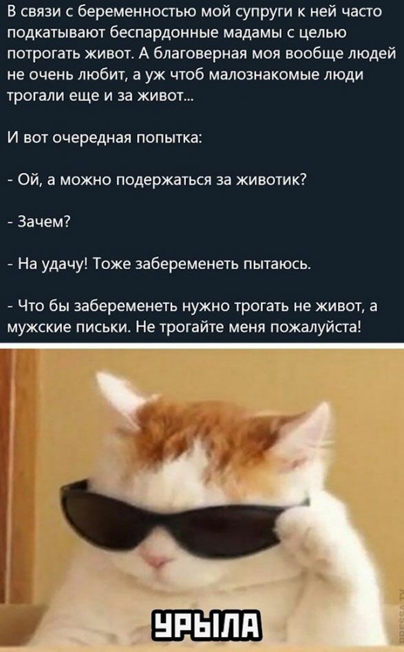 В связи с беременностью мой супруги к ней часто подкатывают беспардонные мадамы с целью потрогать живот А благоверная моя вообще людей не очень любит а уж чтоб малознакомые люди трогали еще и за живот И вот очередная попытка Ой а можно подержаться за животик Зачем На удачу Тоже забеременеть пытаюсь Что бы забеременеть нужно трогать не живот а мужские письки Не трогайте меня пожалуйста