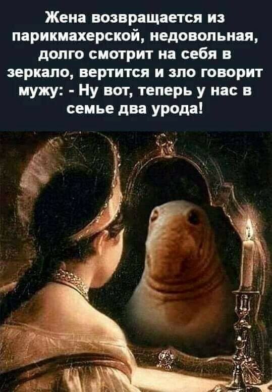 Жена возвращается из парикмахерской недовольная допго смотрит на себя в зеркало вертится и зло говорит мужу Ну вот теперь у нас в семье два урода