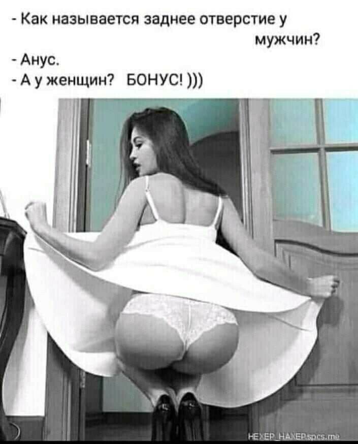 Как называется заднее отверстие у мужчин Анус А у женщин БОНУС