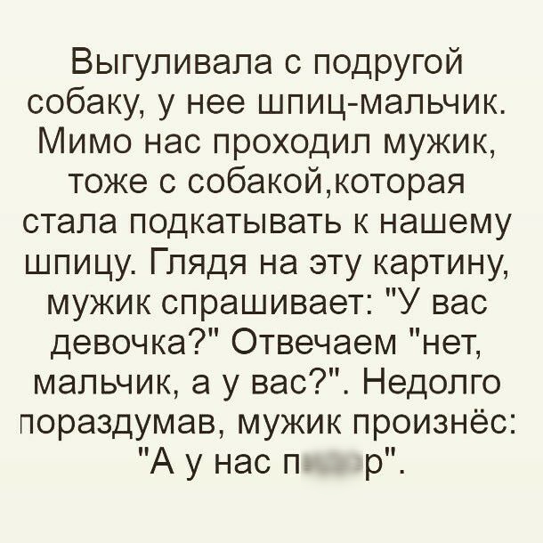 Выгупивапа с подругой собаку у нее шпиц мальчик Мимо нас проходип мужик тоже с собакойкоторая стала подкатывать к нашему шпицу Глядя на эту картину мужик спрашивает У вас девочка Отвечаем нет мальчик а у вас Недолго пораздумав мужик произнёс Аунасп р