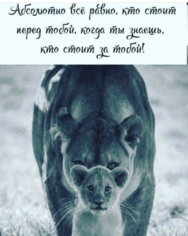 АсЕодштио сё рёбно тд стоит парез УЙШЁБЙ 02961 УЙЫЗШЮШЬ кто стоит 35 тесБЫ
