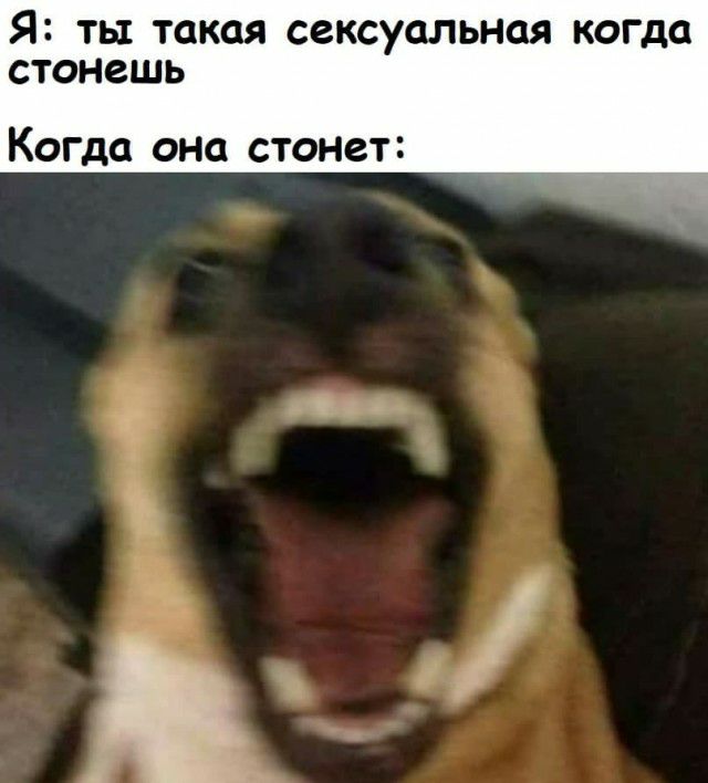 Я ТЫ такая сексуальная когда СТОНЗШЬ Когда она станет