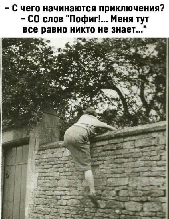 с чего начинаются приключения СО слов Пофиг Меня тут все равно никто не знает ч л