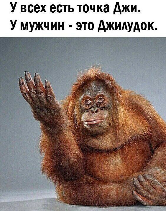 У всех есть точка джи У мужчин это джидудок