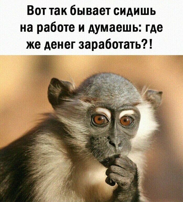 ВОТ так бывает СИАИШЬ на работе и думаешь где же денег заработать
