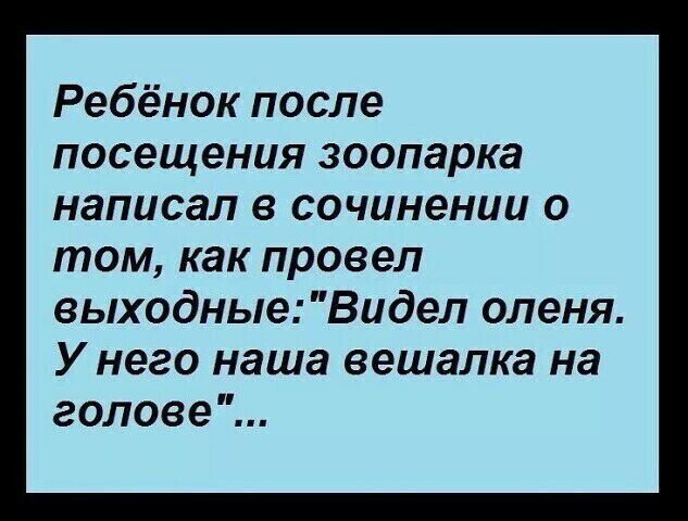 Ребёнок после посещения зоопарка написал в сочинении о том как провел выходные Видел оленя У него наша вешалка на голове