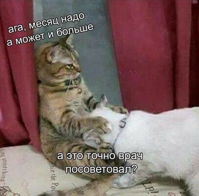 песОветовап