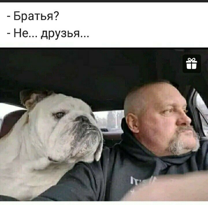 Братья Не друзья