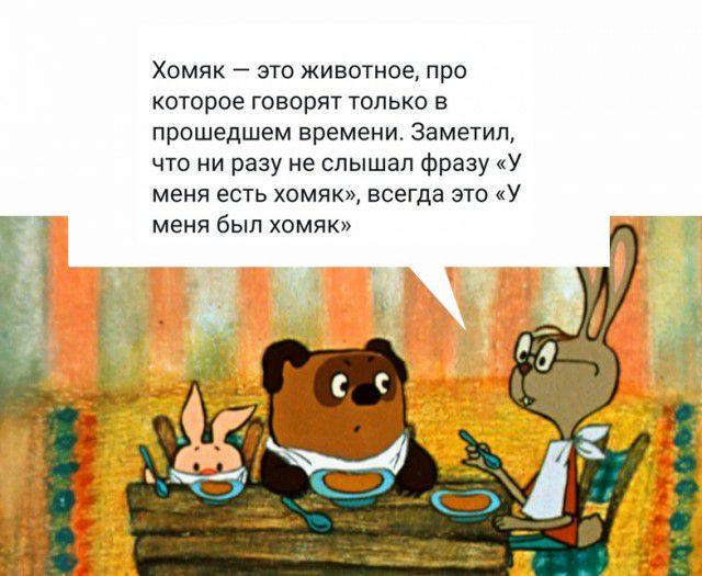 Хомяк это животное про которое говорят только в прошедшем времени Заметил что ни разу не слышал фразу У меня есть хомяк всегда это У меня был хомяк