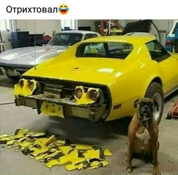 ОтрихтовапЗ