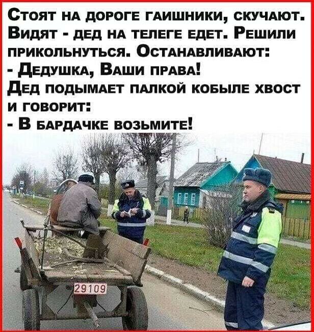 Стоят нд дороге гдишники скучАют Видят дед нд ТЕПЕГЕ ЕдЕТ Решили прикольнуться Остдндвпивдют дедушкд ВАши ПРАВА дед подымдет пдлкои ковылв хвост и говорит В БАРДАЧКЕ возьмите Их