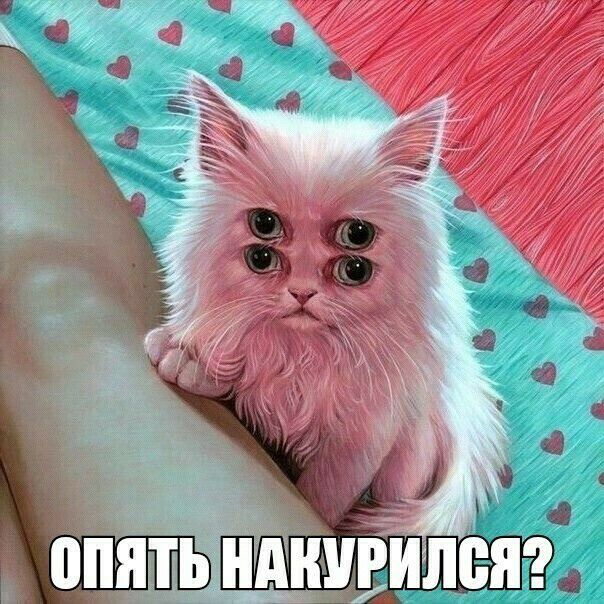 ЁЁЧ
