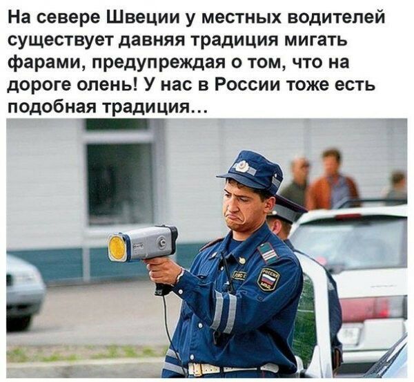 На севере Швеции у местных водителей существует давняя традиция мигать фарами предупреждая о том что на дороге олень У нас в России тоже есть подобная тради ция